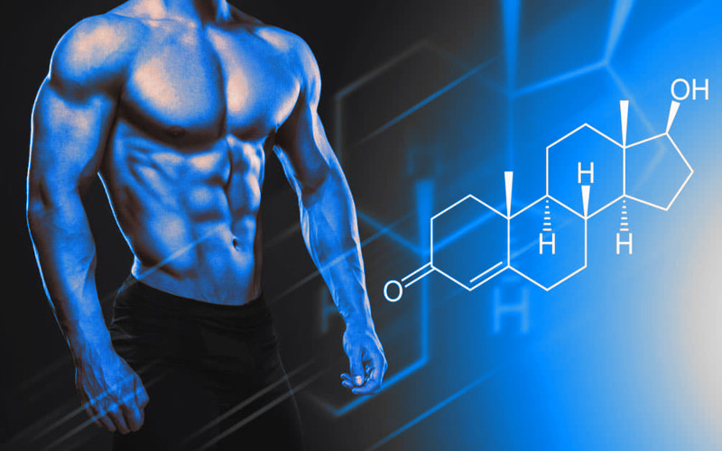 Anabolic Science